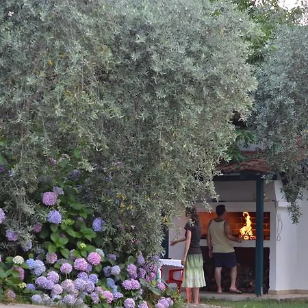 Apartment Anastasia Skala Potamia (Thasos)