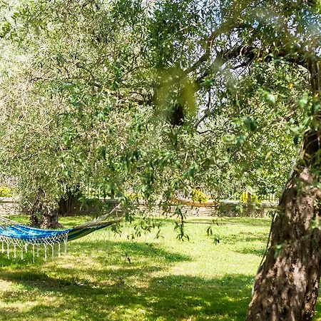 Apartament Anastasia