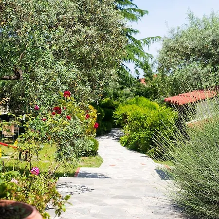 Διαμέρισμα Anastasia