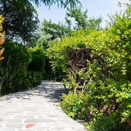 Anastasia Σκάλα Ποταμιάς