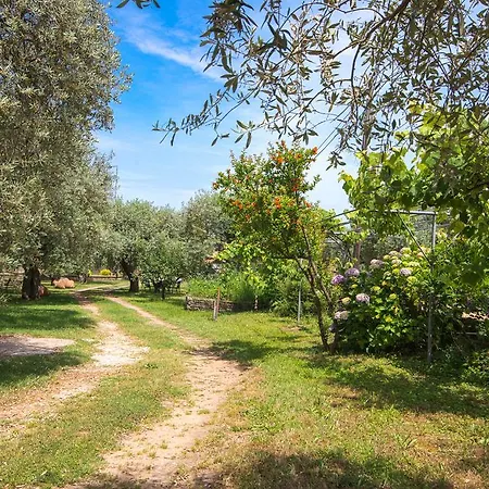 Appartement Anastasia *